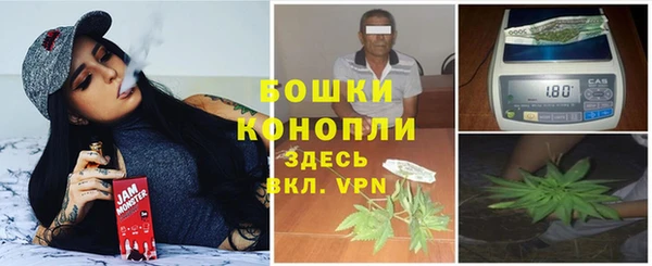 ГАЛЛЮЦИНОГЕННЫЕ ГРИБЫ Сосновоборск
