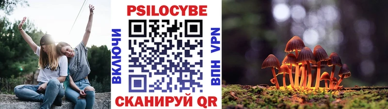 Галлюциногенные грибы GOLDEN TEACHER  Буй 